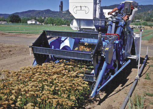 Figure 10.67 - Seed harvesting equipment varies by seed producers and species being harvested. Discuss with the seed producer how each species will be harvested and see that equipment is cleaned between seedlots.
