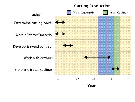 Figure 10.74 - Obtaining cutting materials from stooling beds can take up to four years, depending on the type of material requested. Branched cuttings can be obtained from stooling beds after the first growing season, while live stakes can take from 2 to 4 years. Pole cuttings can take even longer. The following is a timeline for producing branched cuttings and some smaller live stakes. Add several years for large stakes and some poles.