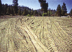 Figure 1.8 - Roadsides are often drastically disturbed and infertile environments with no topsoil, severe compaction, and a lack of beneficial microorganisms. They include obliterated roads and borrow sites as shown in this photograph.