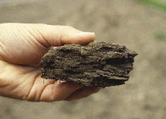 platy soil structure