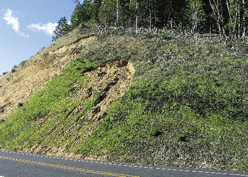 Figure 5.61 - This debris slide (noted by its shallow, steep appearance) took place two years after construction when the grass and forbs were fully established. Establishing shrub species, rather than grass and forb species, to steep, potentially unstable slopes would be better for long term stability because shrub species are deeper rooting and have higher root tensile strength.
