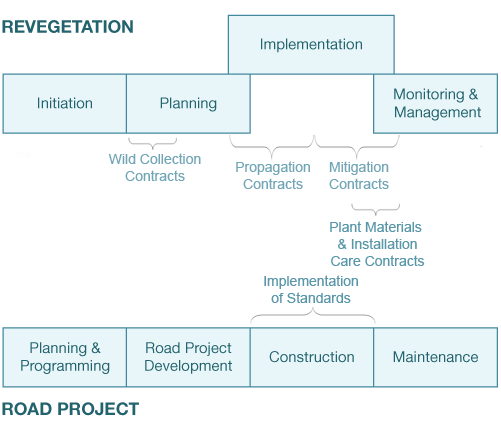 Illustration - Revegetation Timeline