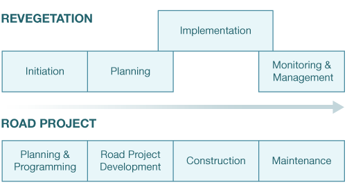 Chart - Revegetation Phases