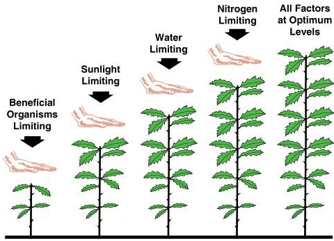 Figure - Surveys Define Revegetation Units