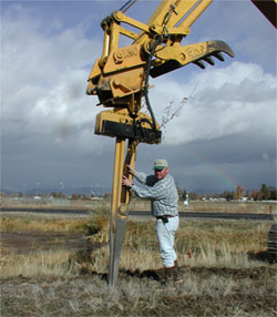 photo - planting