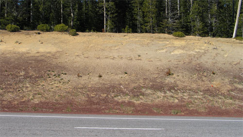 Photo - hydromulch rates