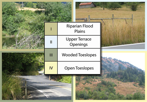 Figure - Plant communities vary along roadways