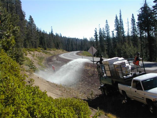 Photo - hydromulch trials