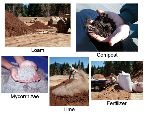 Photos - topsoil elements