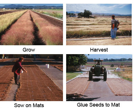 Photos - Native Seed Mat Production